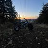 krew489