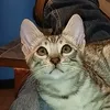 kevin13200