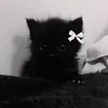 лютик