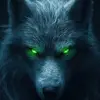 dwdruid13