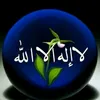 user085223526