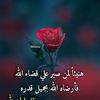 umiyadyoussef