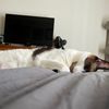 pjs_mama_22722