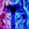 wolfgrey1969