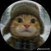 WildBarbarian06