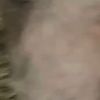 lilzscope
