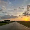 elonmask617