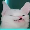 miaulol98