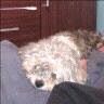 mrphen2006