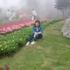 user234145217