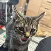 user_m5425