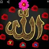 um_mustafa66