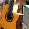 guitar_cover1.3