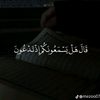 bak788