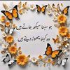 noorjaan695