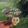 miyu_1380
