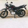 mehmoodali439