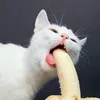 crivesnek