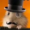 teilderhamstergangg