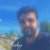 syrian.20241208