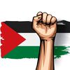 _nabil_r15