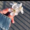 maysam_alawamreh