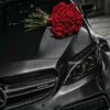 axmedoff.04