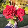 hadeelra95