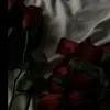 saika_134
