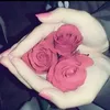 zahra12462