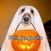 jorgealuna9