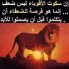 basharalrawashda