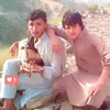 alibarki50