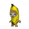 vibz.qht