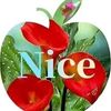 user116954077