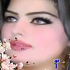 shamsalaseel36