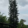 slk12_4