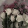 pisces_r26