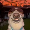 farbeimerog