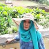 arsijanuari