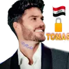 anmr33
