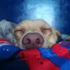 barbyoliver81