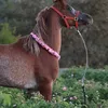 kb..ek