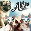 altheacattery
