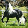 nadeer112