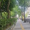 soul65038