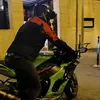 greezly8