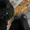 mimks_66