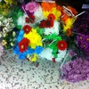 sam06147680