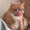 mutchiecthobanhbeo